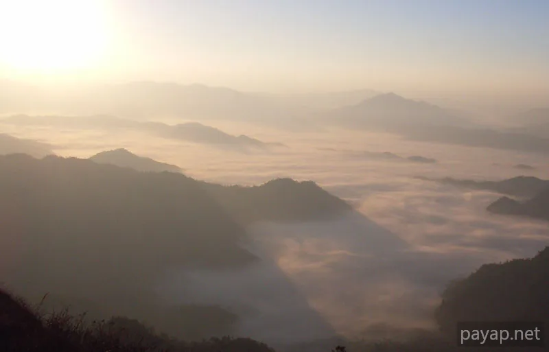 2006年01月 プチファー