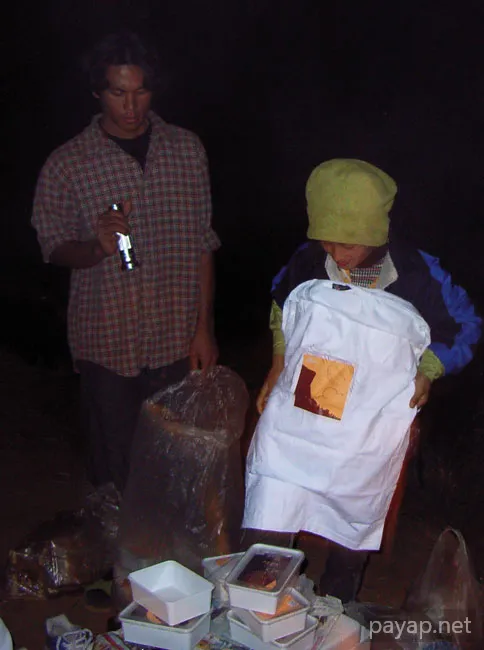 2006年01月 プチファー