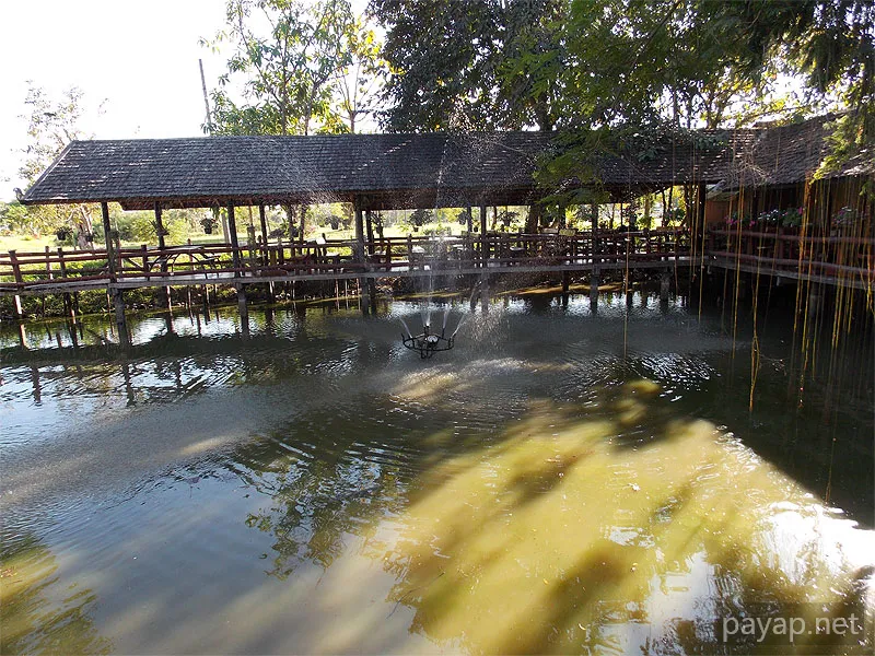 チエンライの写真 Cabbages & Condoms Inn and Restaurant,2012年