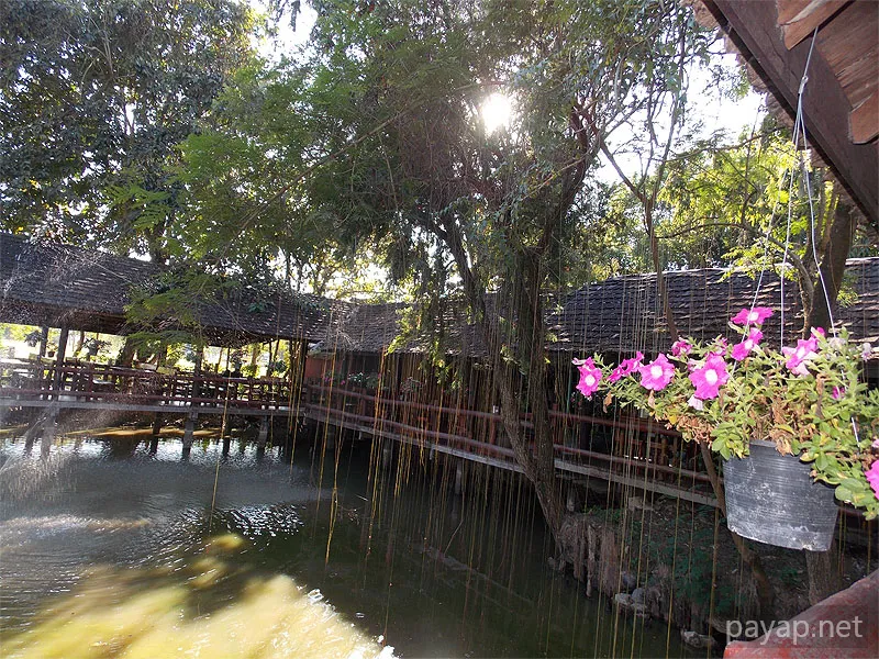 チエンライの写真 Cabbages & Condoms Inn and Restaurant,2012年