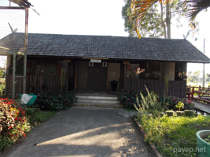 チエンライの写真 Cabbages & Condoms Inn and Restaurant,2012年