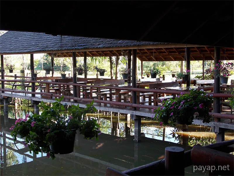 チエンライの写真 Cabbages & Condoms Inn and Restaurant,2012年