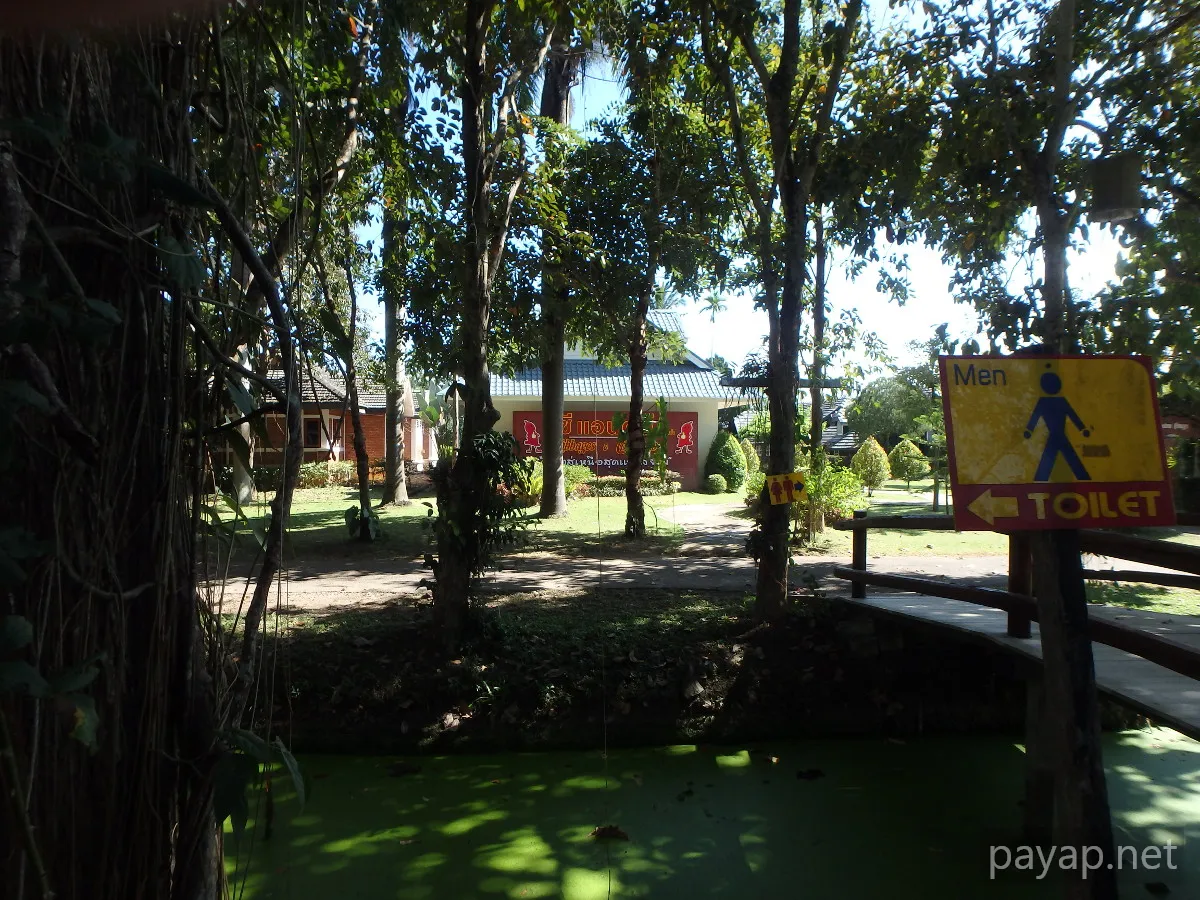 チエンライの写真 Cabbages & Condoms Inn and Restaurant,2015年