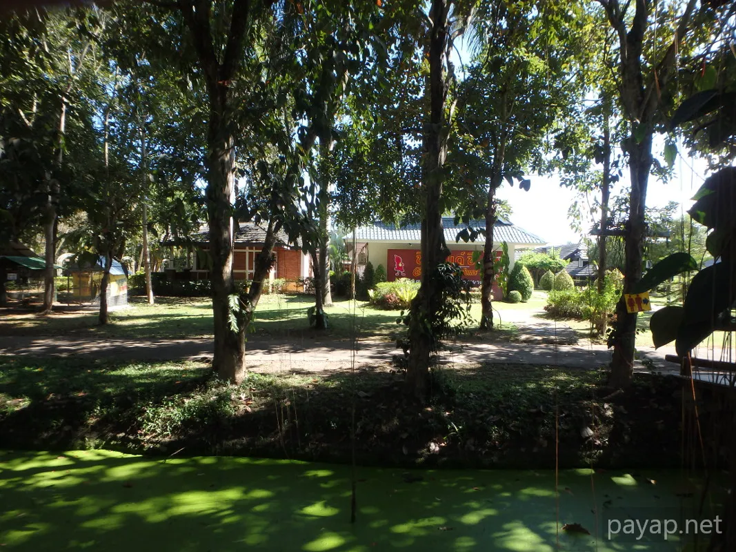 チエンライの写真 Cabbages & Condoms Inn and Restaurant,2015年