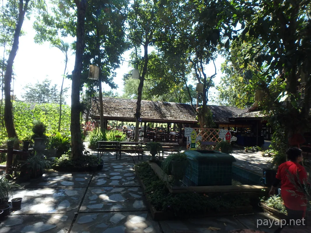 チエンライの写真 Cabbages & Condoms Inn and Restaurant,2015年