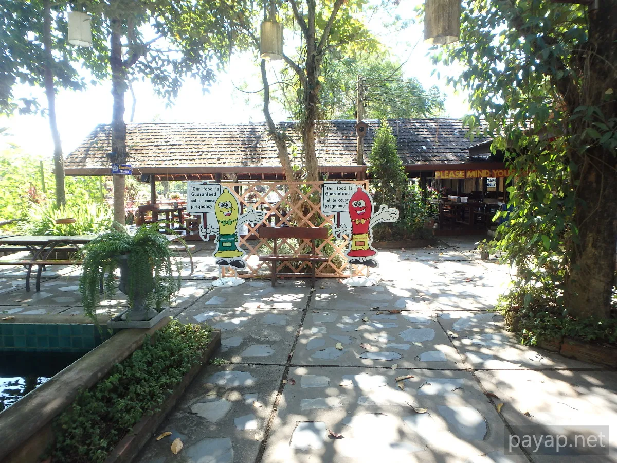 チエンライの写真 Cabbages & Condoms Inn and Restaurant,2015年