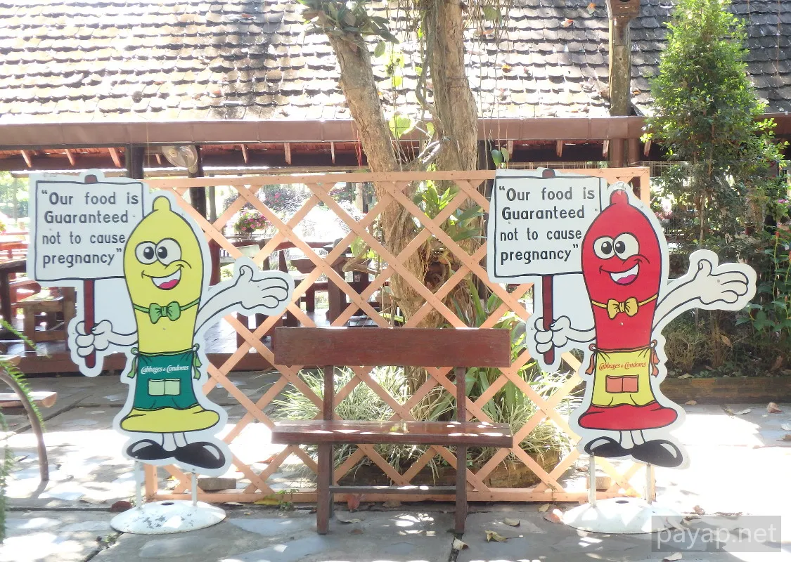 チエンライの写真 Cabbages & Condoms Inn and Restaurant,2015年