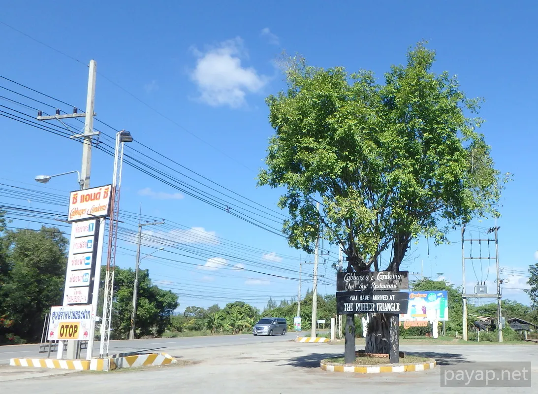 チエンライの写真 Cabbages & Condoms Inn and Restaurant,2015年