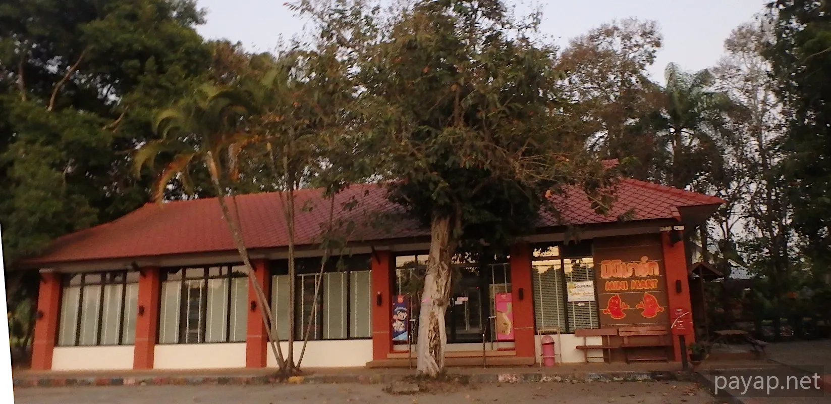 チエンライの写真 Cabbages & Condoms Inn and Restaurant,2020年