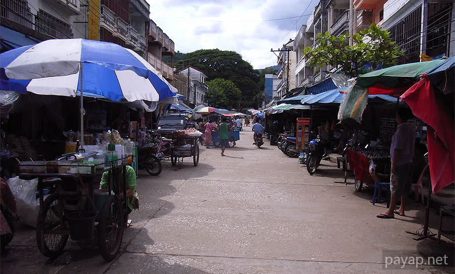 タチレク タチレク