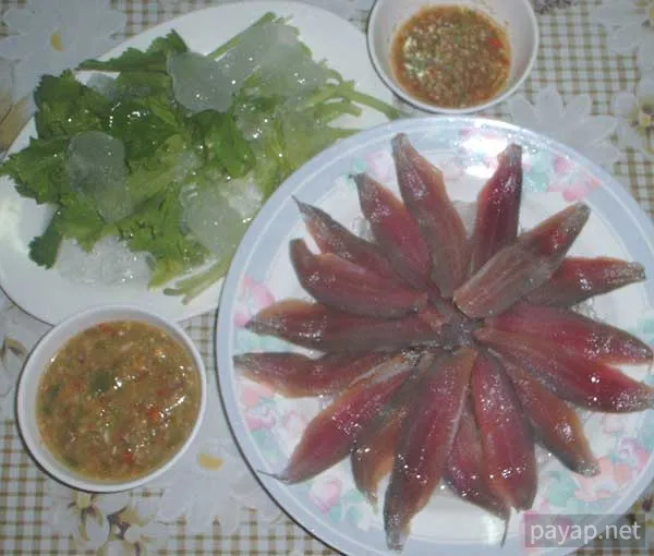 อาหารทะเล, シラチャー「ディットー」プラーグレー(鰯科)