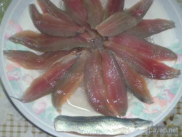 กุแล, シラチャー「ディットー」プラーグレー(鰯科)