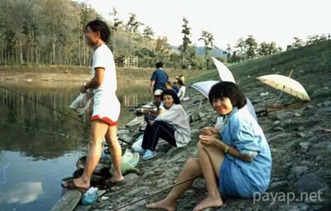 メホーソン(MeHoSon) 1987年10月撮影 メホーソン(MeHoSon)