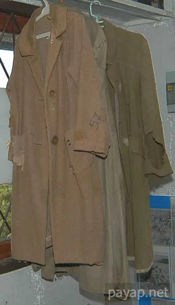 ビルマ戦線資料博物館 ビルマ戦線資料博物館「」