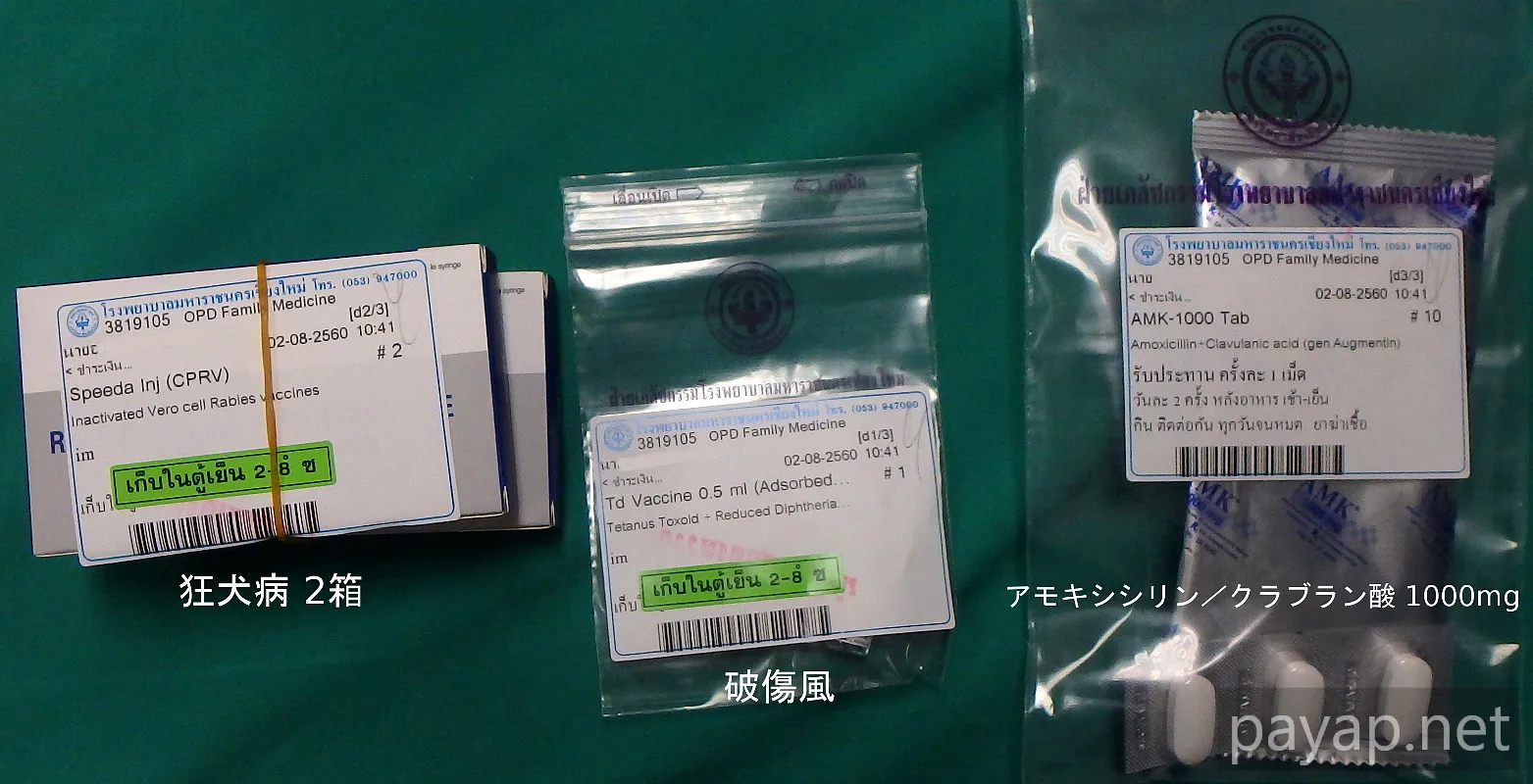 狂犬病、破傷風、抗生物質