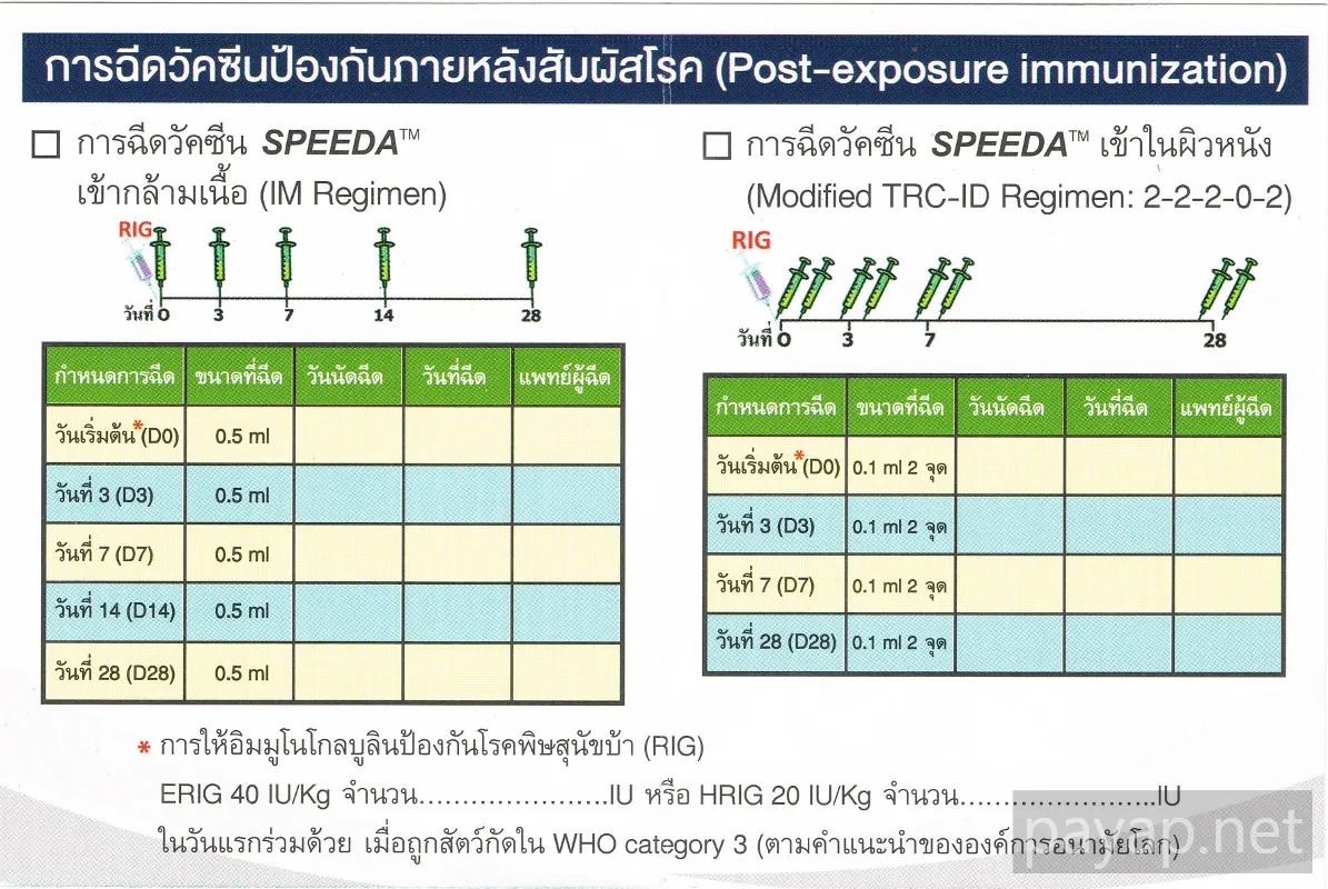 ワクチン予定表