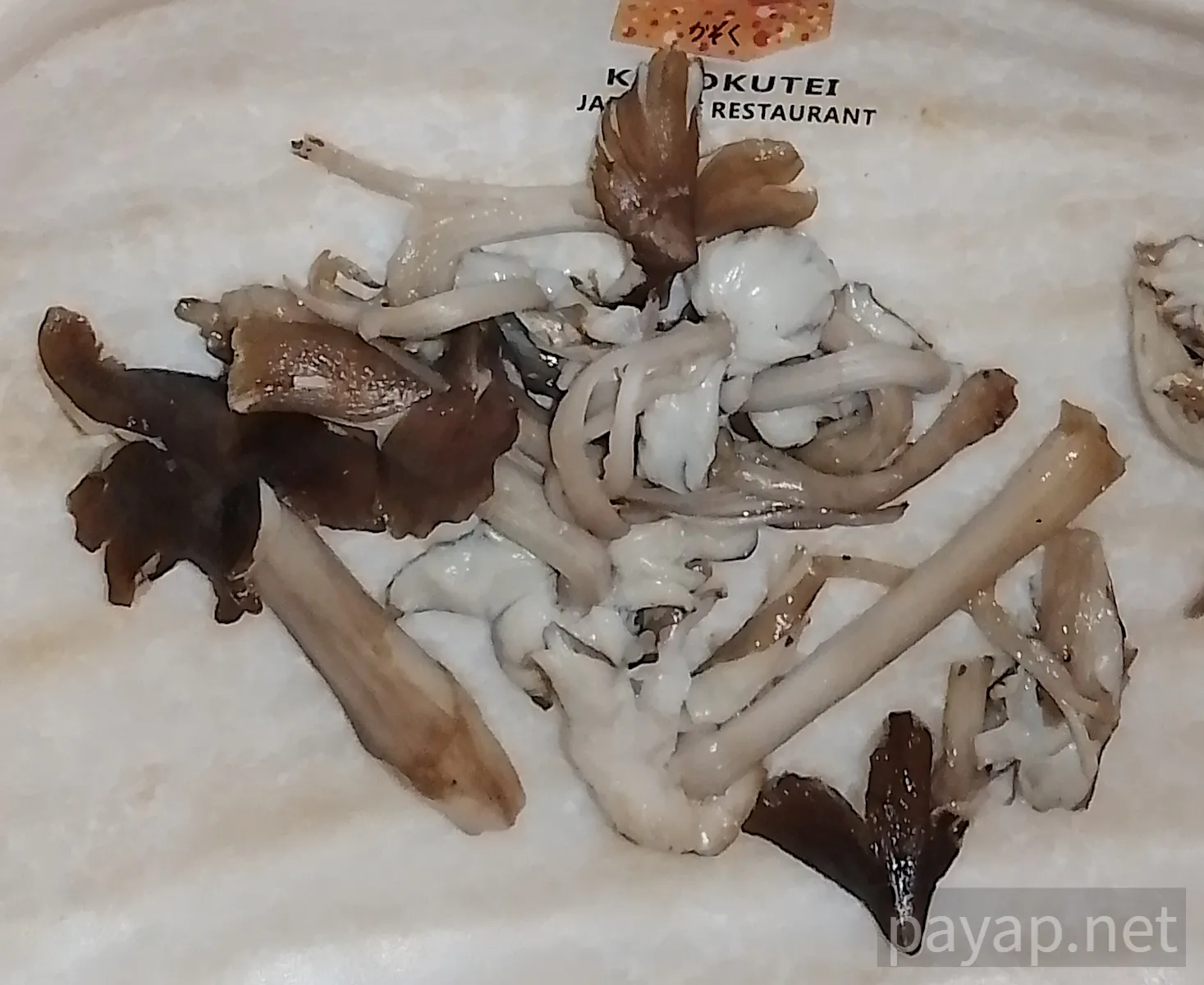 オオシロアリタケ